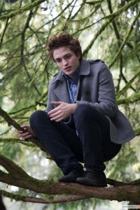 Edward Cullen, 11 декабря 1993, Москва, id14537292